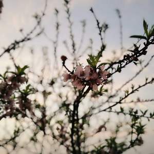 自慰模拟器调教游戏
